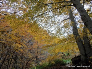 qua Rocca19-11-2017 14-11-18